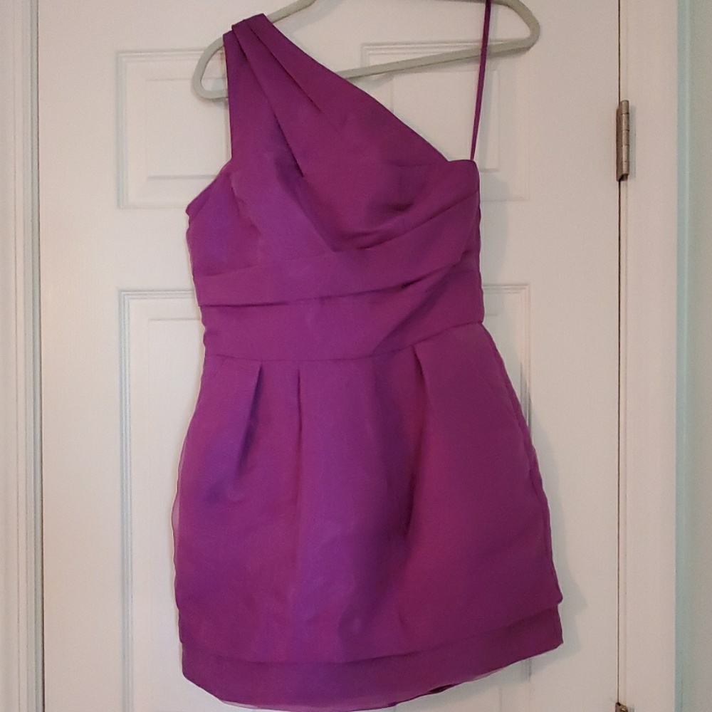 VGUC BCBG Mini Dress size 8